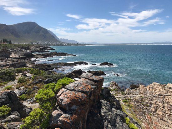 Hermanus Cliff Path